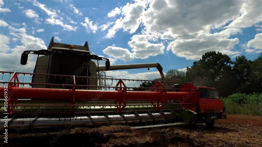 Thresher combine harvester with reel and cutter bars unloading grain. Farm vehicle machine 4k video. Bread production concept. Thresher combine harvester with reel and cutter bars unloading grain. Farm vehicle machine 4k video. Bread production concept.