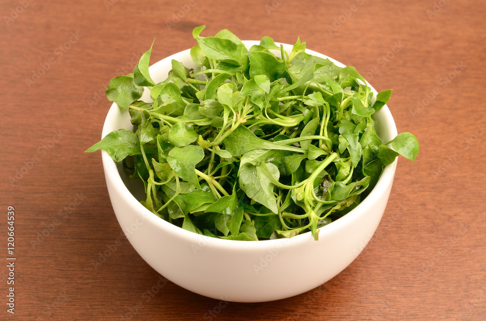 Fresh watercress (aquatic plant) in the bowl,organic vegetable,clean eating Fresh watercress (aquatic plant) in the bowl,organic vegetable,clean eating