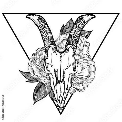 goat skull vector illustration. occult symbol. goat devilish magical symbol and Flowers peonies and roses in the triangle