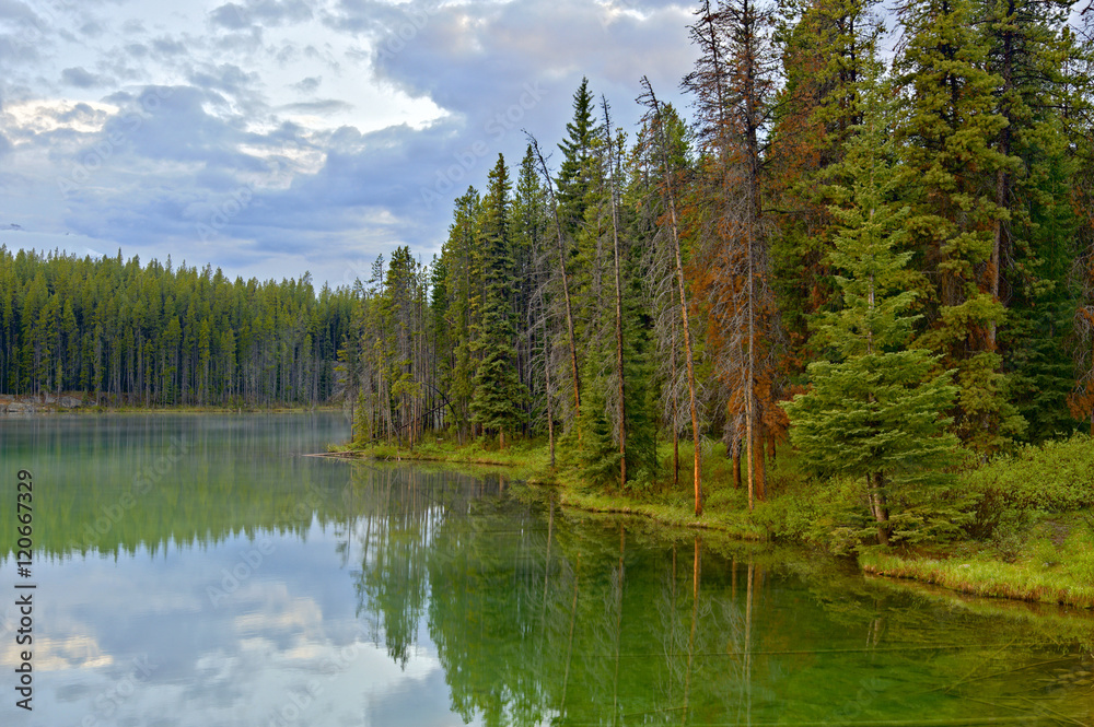 Herbert Lake, Banff National Park, Canada Herbert Lake, Banff National Park, Canada