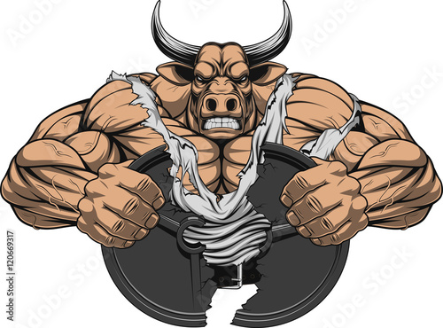 Strong ferocious bull
