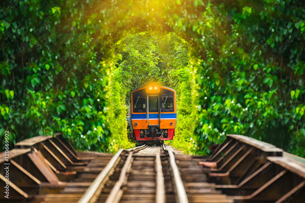 Train running in tree tunnel on the railway in Bangkok Thailand.