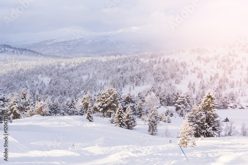 Snow Landscape - Stryn (Norway)