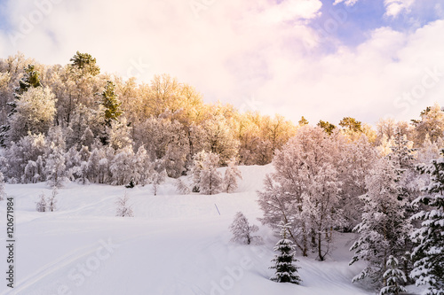Snow landscape - stryn (norway)
