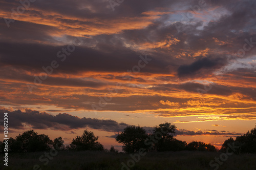 Twilight  red sky over the forest  