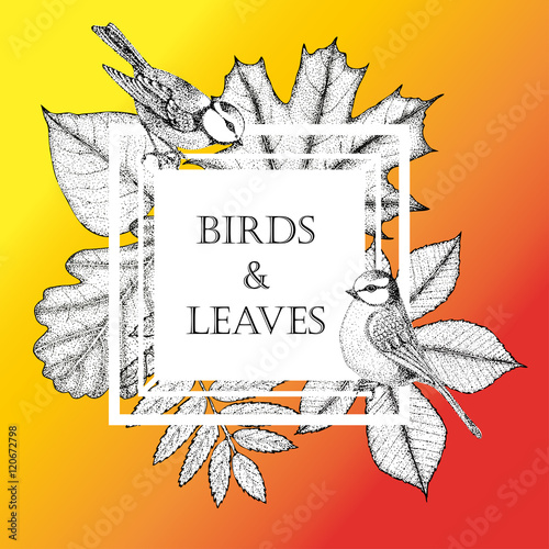 frame for text with leaves and birds in the square. Beautiful blue tits on a background of autumn leaves. Vector