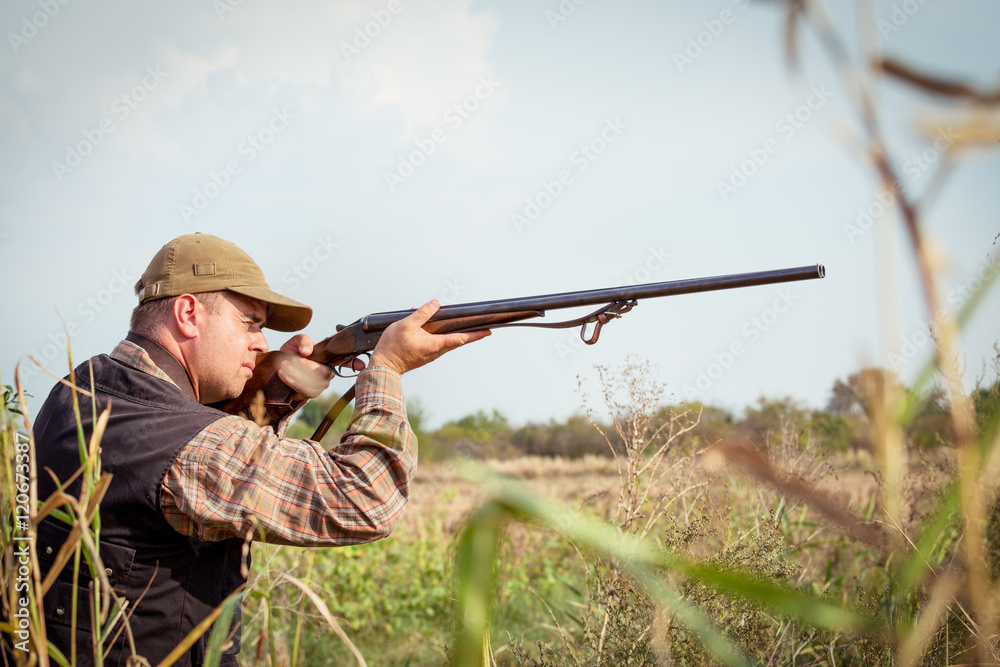 Fototapeta premium Hunter wild duck hunting
