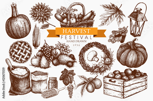 Vector set of hand drawn autumn illustration. Traditional harvest festival design elements. Vintage fall sketch collection on white background. Outlines