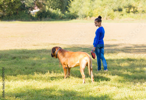 girl walking with the dog breed Bullmastiff