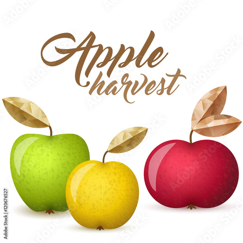 Three apples vector illustration