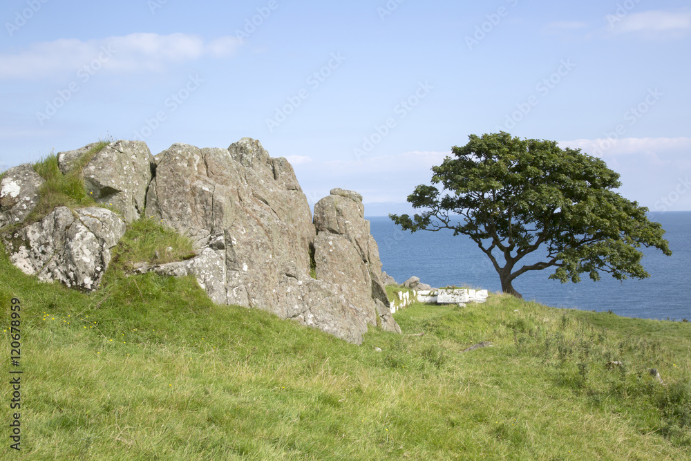 Rock and Tree, Murlough Beach; County Antrim