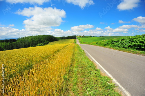 Rural Road at Countryside of Hokkaido  Japan
