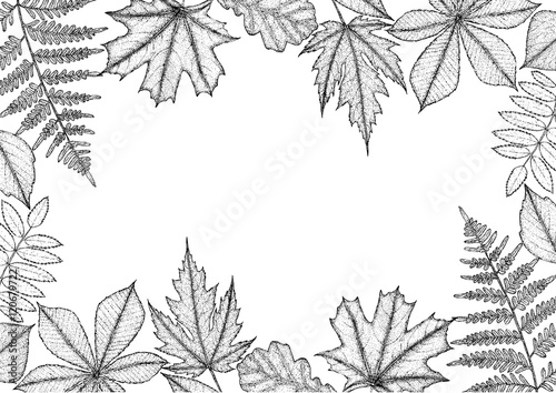 Wallpaper Mural autumn leaves background with space for text. Torontodigital.ca
