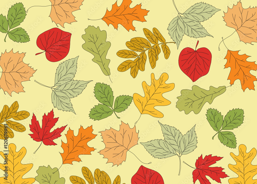 Fototapeta premium autumn background