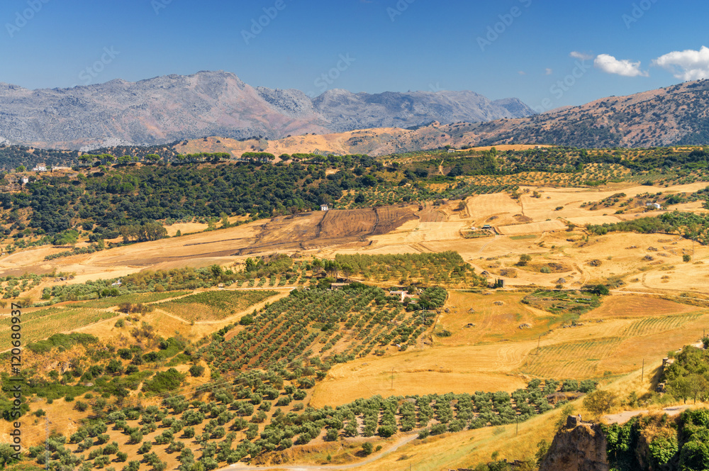 Sunny view of countryside fields near Ronda, Malaga province, Spain.