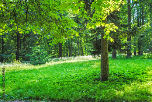Great Green Park in Oranienbaum Lomonosov © Sergej Ljashenko