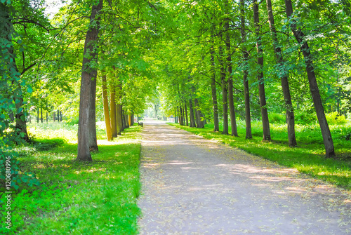 Great Green Park in Oranienbaum Lomonosov