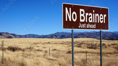 Foto No Brainer brown road sign