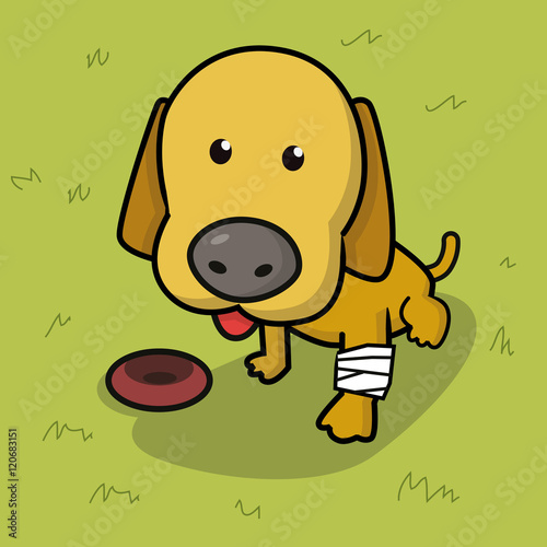  Hungry Dog Begging for Food