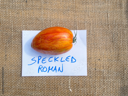 Italian tomato - Specked Roman. photo