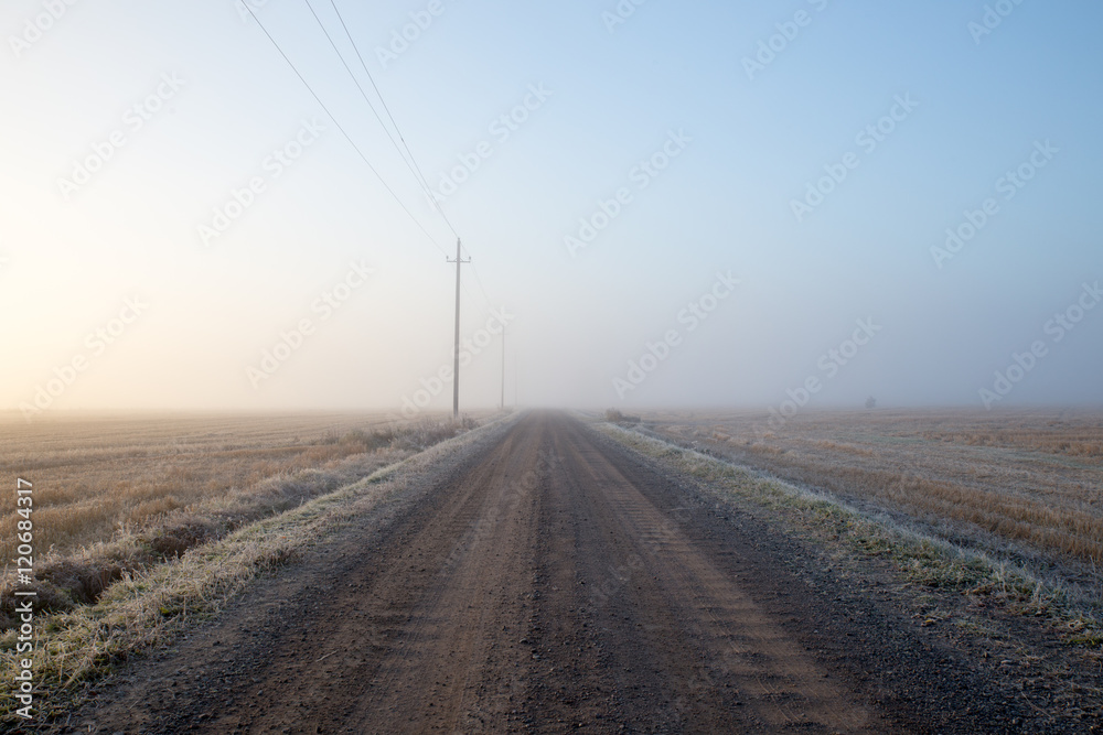 Cold Misty Morning at Rural Road Surrounded by Harvested Fields Cold Misty Morning at Rural Road Surrounded by Harvested Fields