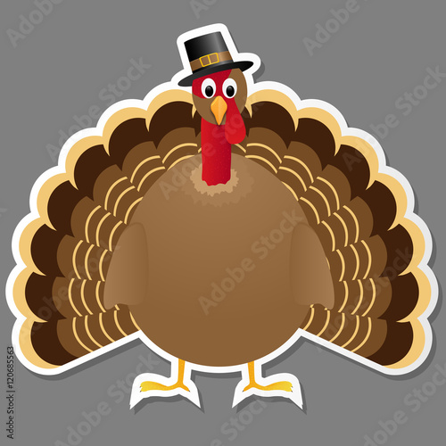 Thanksgiving turkey bird isolated on grey background.