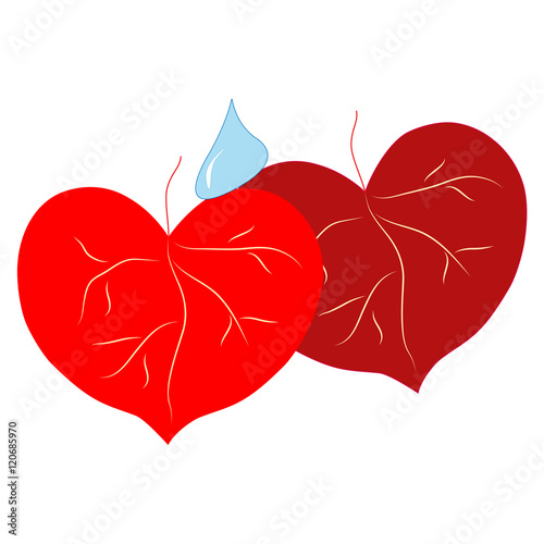 T shirt typography graphic with leaf heart couple