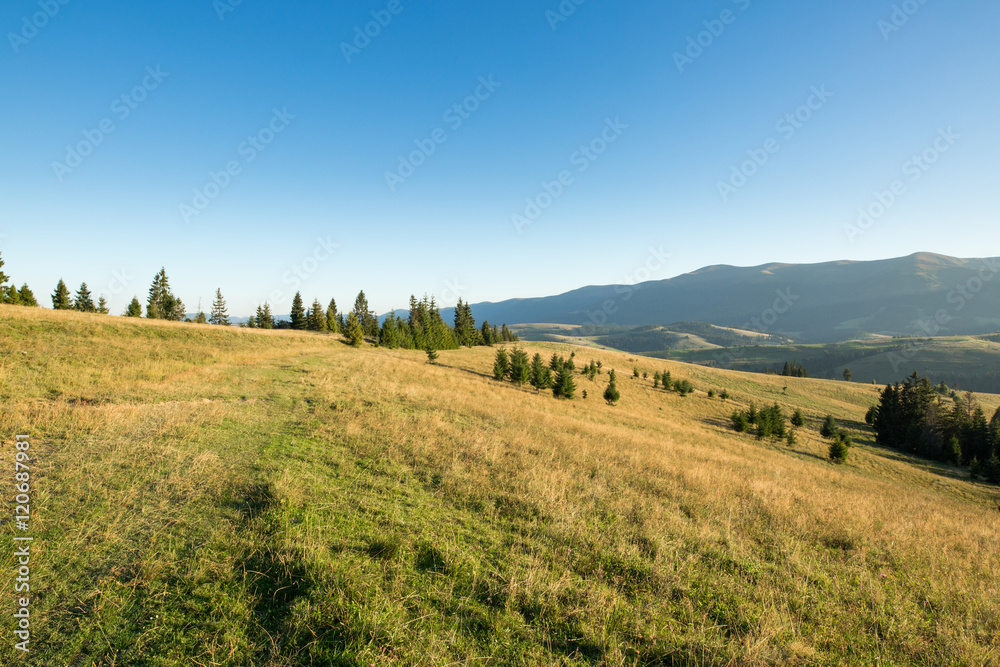 Meadow, mountain and blue sky