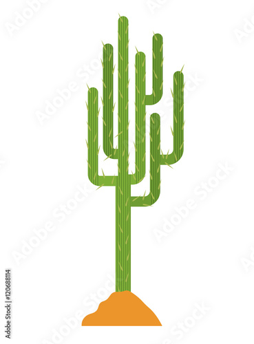 Cactus and earth icon. Plant deset and green theme. Isolated design. Vector illustration