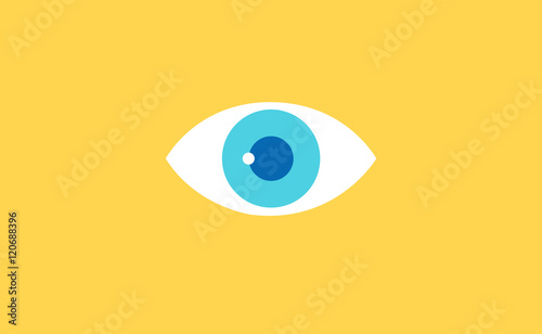 Vector eye symbol icon on flat background photo