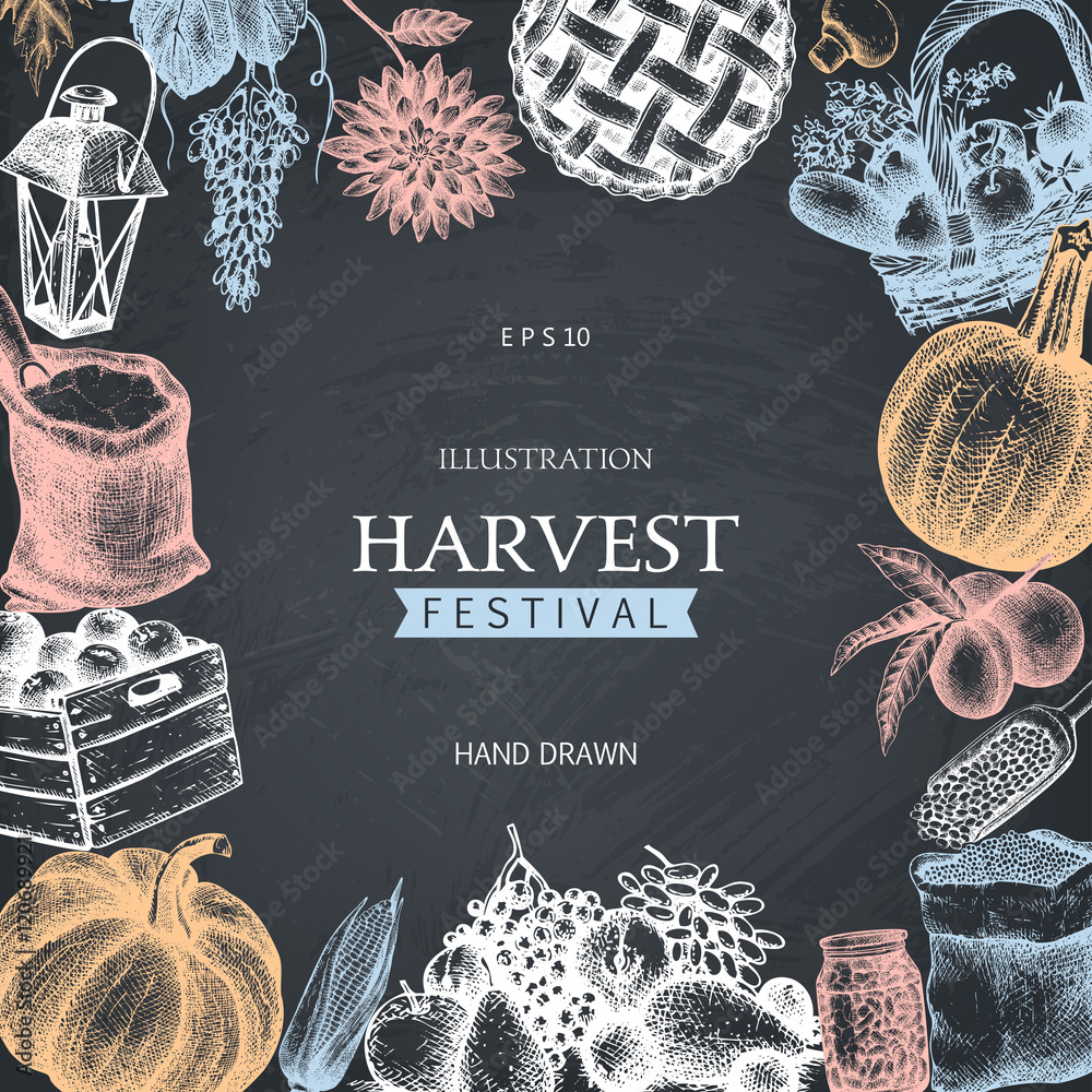 Vector frame for traditional autumn festival design. Hand drawn harvest ...