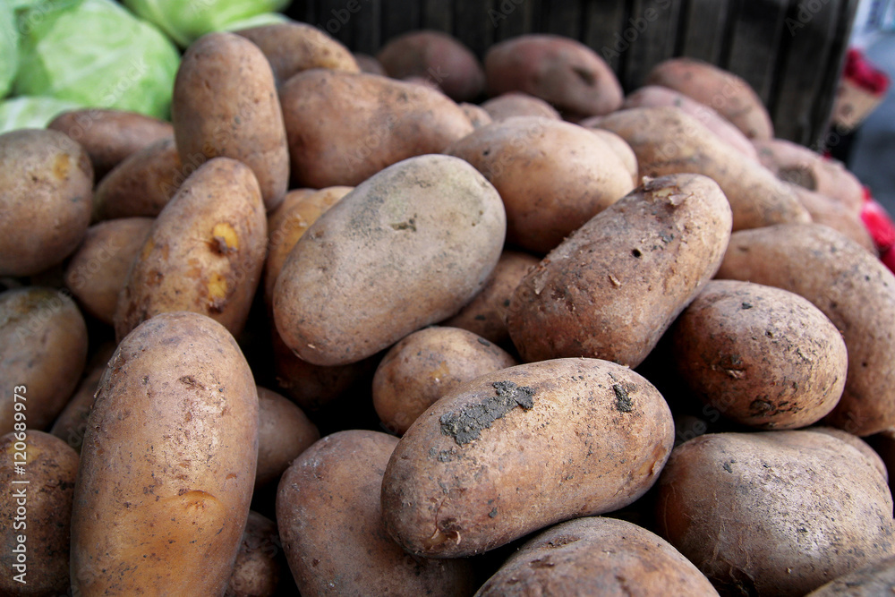 Organic fresh potatoes on city green market Organic fresh potatoes on city green market
