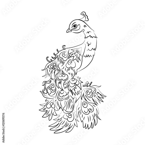 Vector peacock on a white background. Black contour.