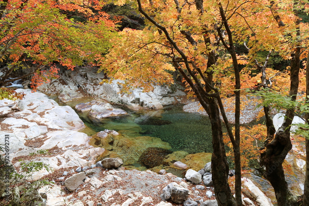 天川村　川迫川渓谷の紅葉