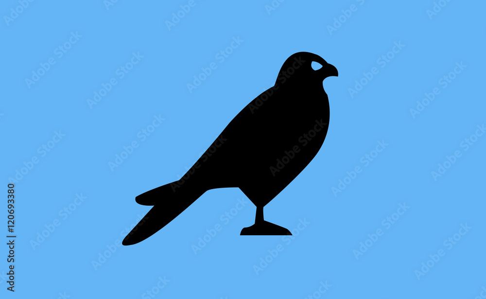 Obraz premium Vector hawk bird icon on flat background