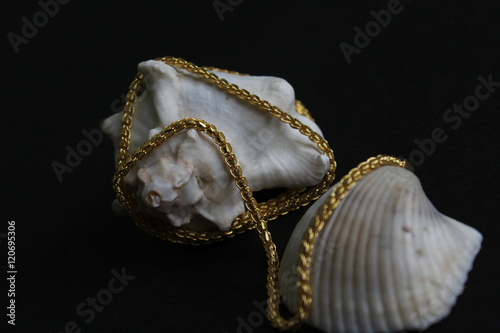 Gold chain isolated on black background with white conch shell and cockle.