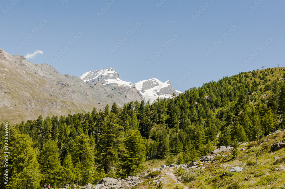 Zermatt, Dorf, Alpen, Schweizer Berge, Wallis, Naturweg, Wanderweg, Riffelalp, Sunnegga, Findelbach, Findelschlucht, Lärchenwald, Sommer, Schweiz