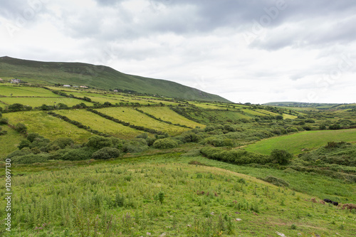 farmland fields at wild atlantic way in ireland