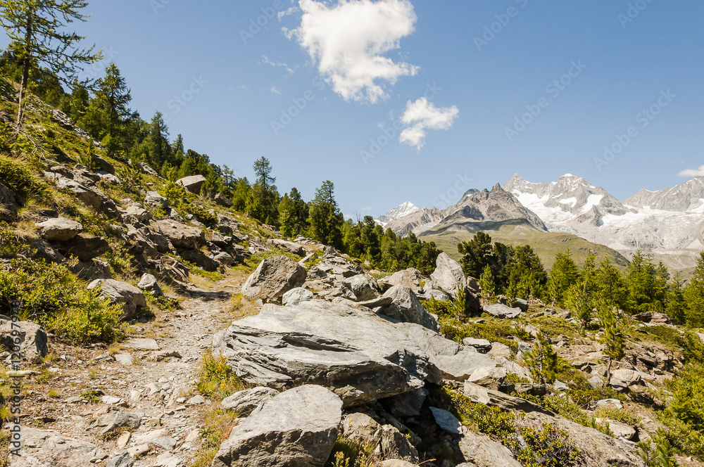 Zermatt, Wanderweg, Naturweg, Alpen, Wallis, Riffelalp, Lärchenwald, Findeln, Schweizer Berge, Sommer, Schweiz