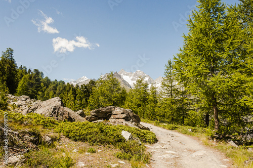 Zermatt, Dorf, Wallis, Alpen, Schweizer Berge, Lärchenwald, Wanderweg, Naturweg, Findeln, Riffelalp, Arvenholz, Sommer, Schweiz