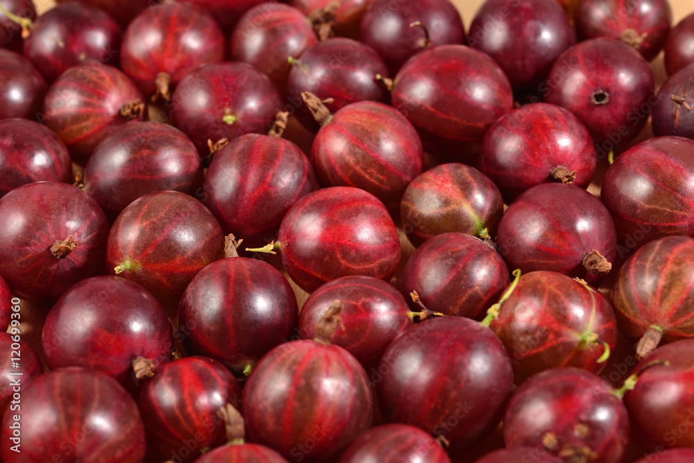 Fresh red gooseberry close up as background Fresh red gooseberry close up as background