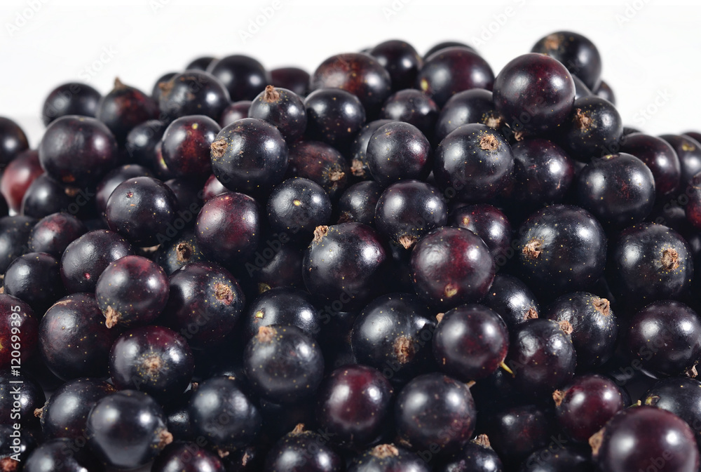 Heap of fresh black currant close up on a white Heap of fresh black currant close up on a white