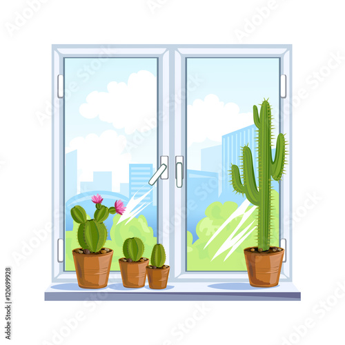 window and flowers in pots on the windowsill
