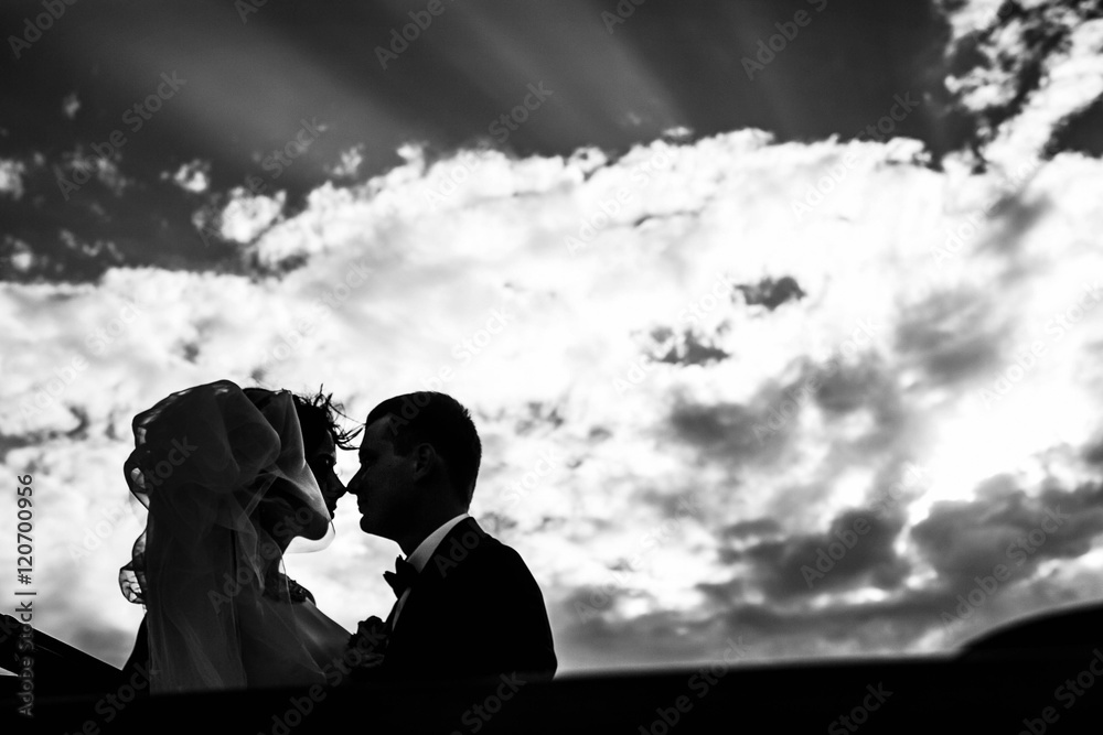 black and white portrait of the newlyweds against the sky