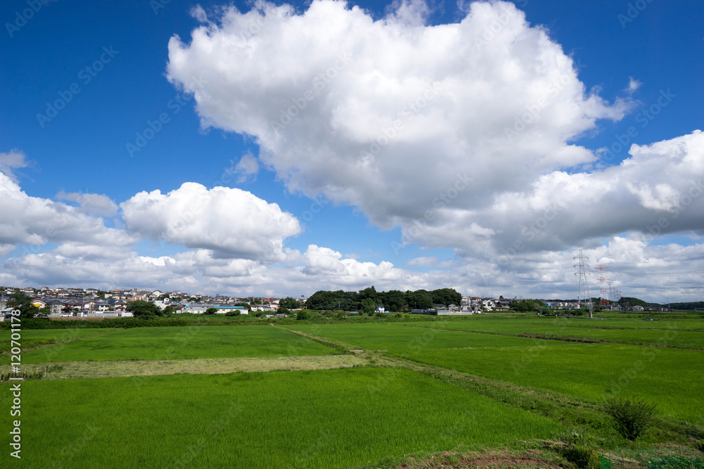 田園風景