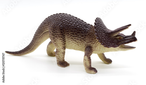 Triceratops dinosaurs toy on white background © Noey smiley
