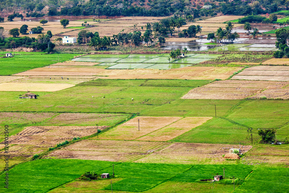 Aeiral view of Indian countryside with rice paddies, Tamil Nadu,