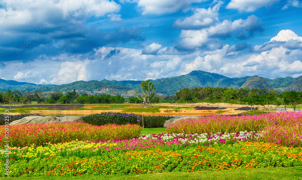 Green lawn in a colorful landscape formal garden. Beautiful ,Thailand