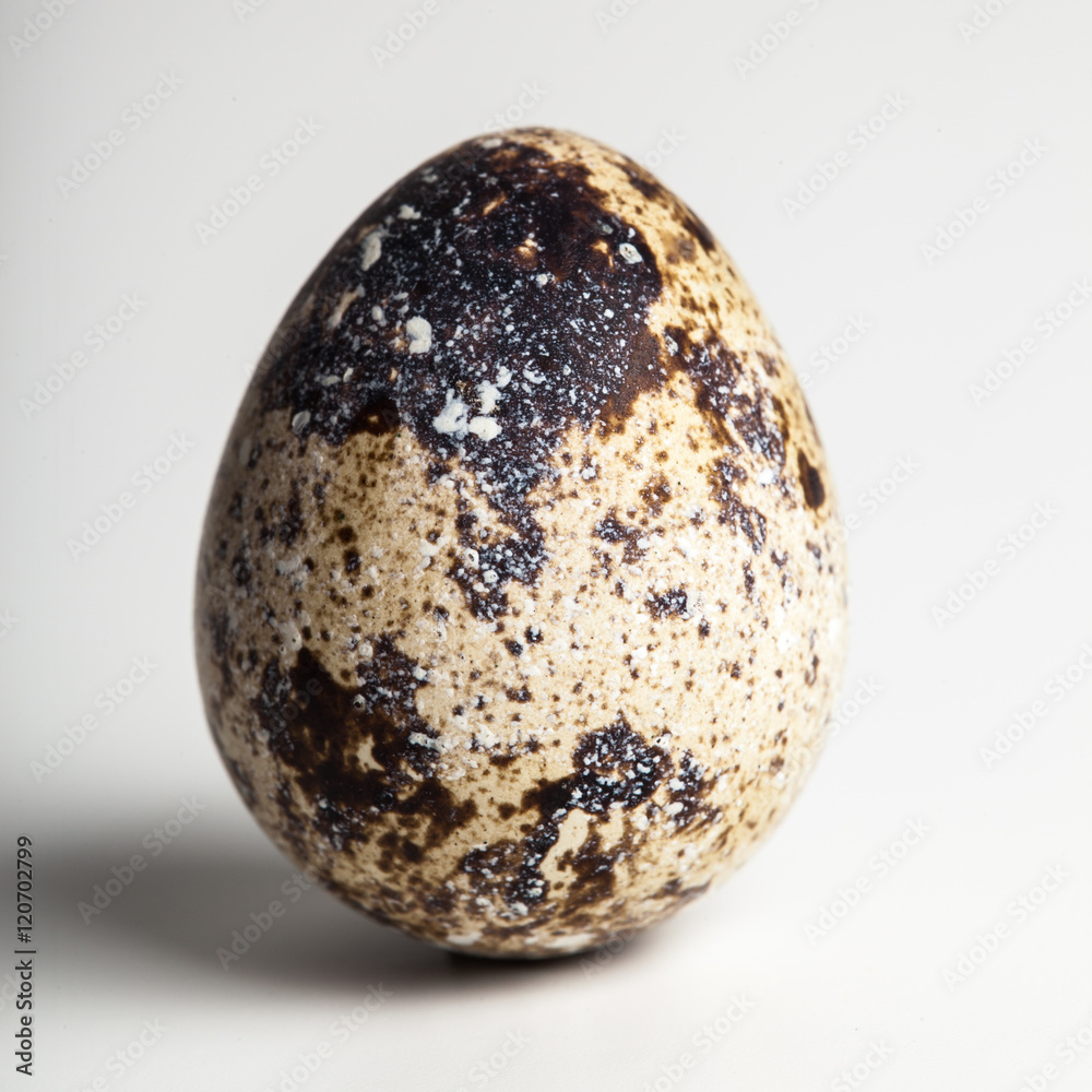 Obraz premium Quail egg on a white background