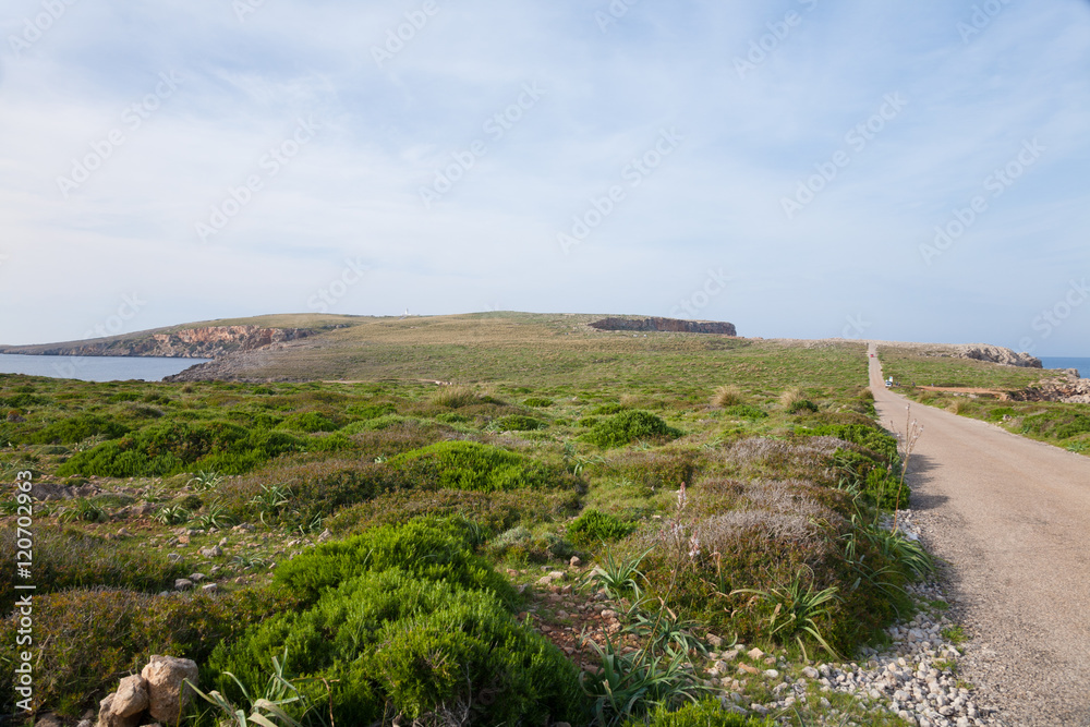 road to lighthouse of Cape Cavalleria in Menorca road to lighthouse of Cape Cavalleria in Menorca